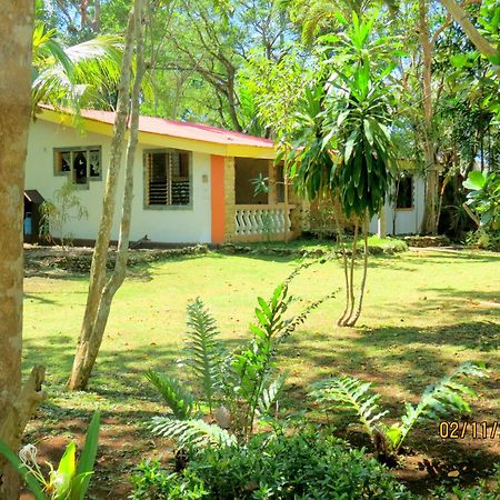 Alonaland Resort Đảo Đảo Panglao Ngoại thất bức ảnh