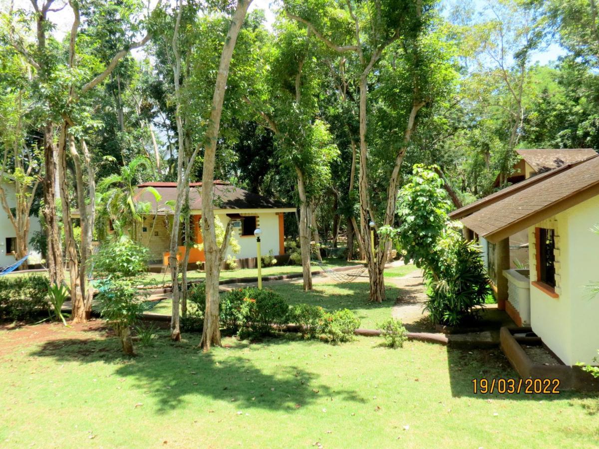 Alonaland Resort Đảo Đảo Panglao Ngoại thất bức ảnh
