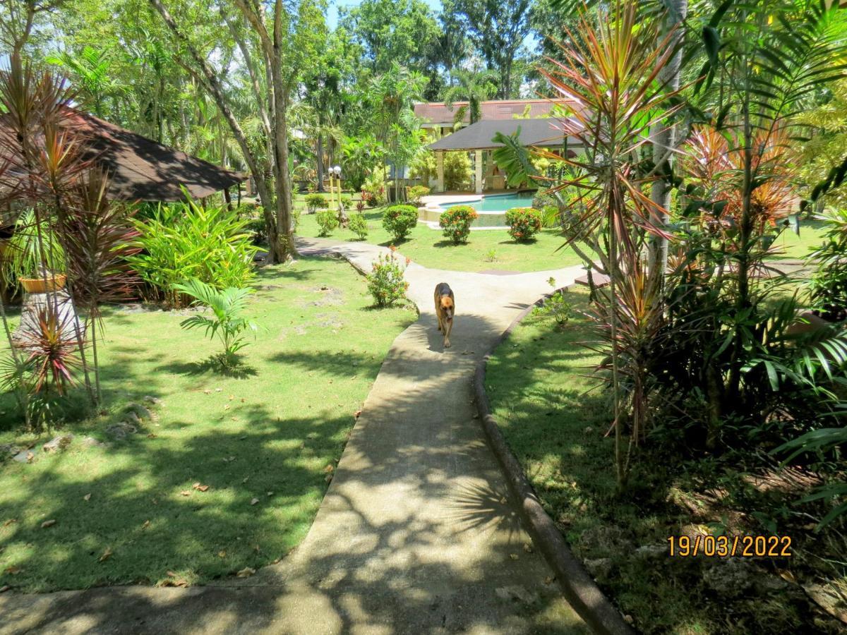 Alonaland Resort Đảo Đảo Panglao Ngoại thất bức ảnh