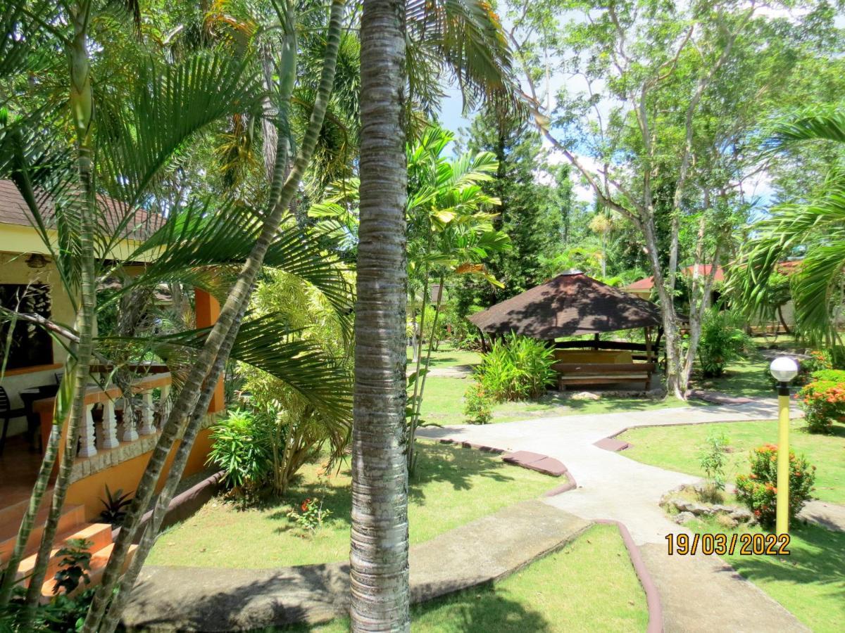 Alonaland Resort Đảo Đảo Panglao Ngoại thất bức ảnh