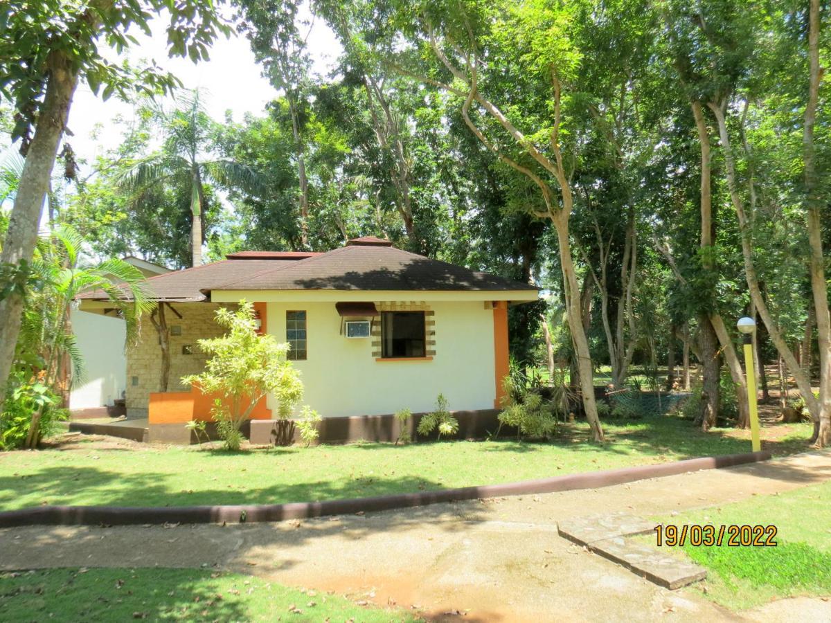 Alonaland Resort Đảo Đảo Panglao Ngoại thất bức ảnh