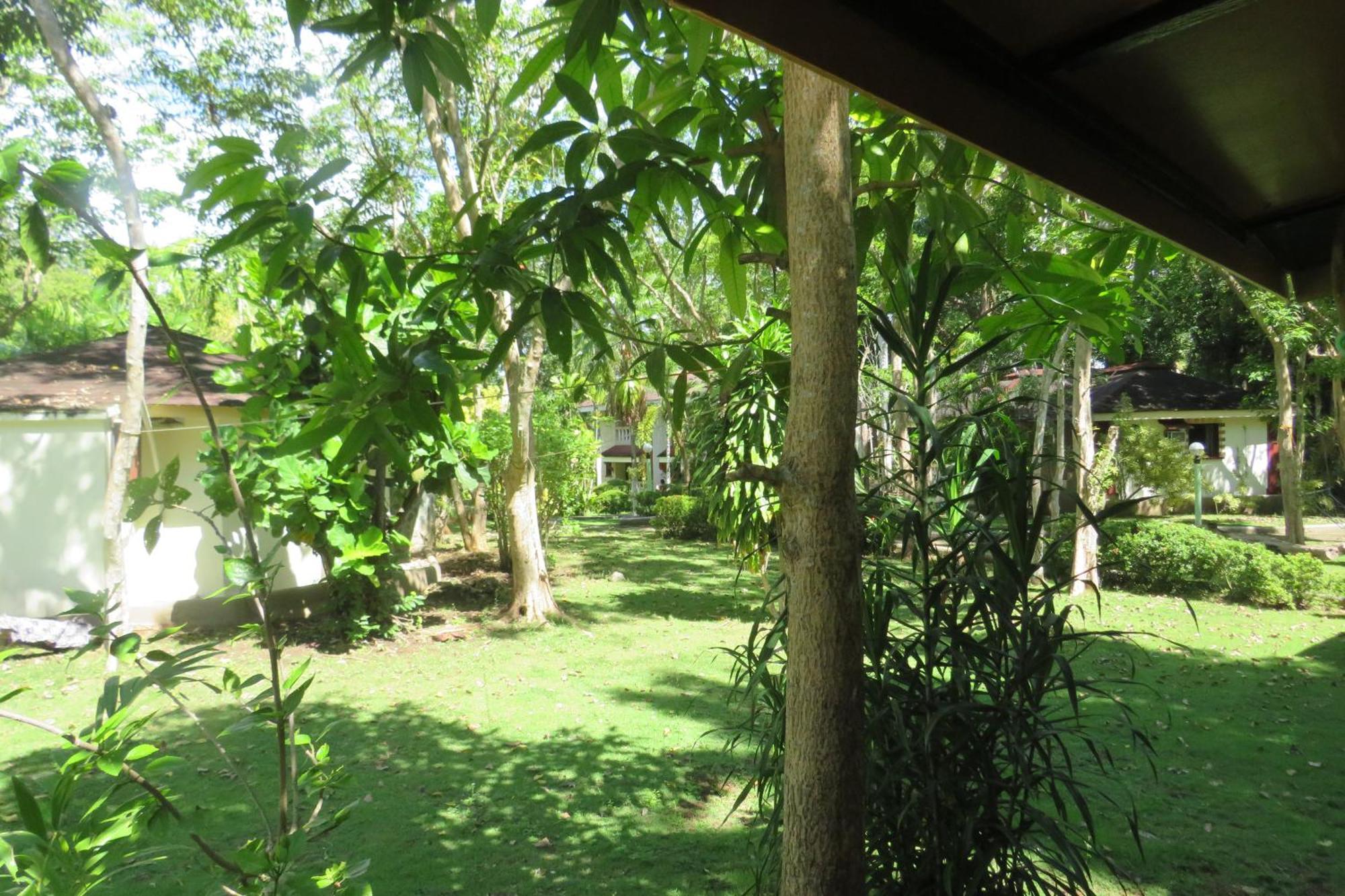 Alonaland Resort Đảo Đảo Panglao Ngoại thất bức ảnh