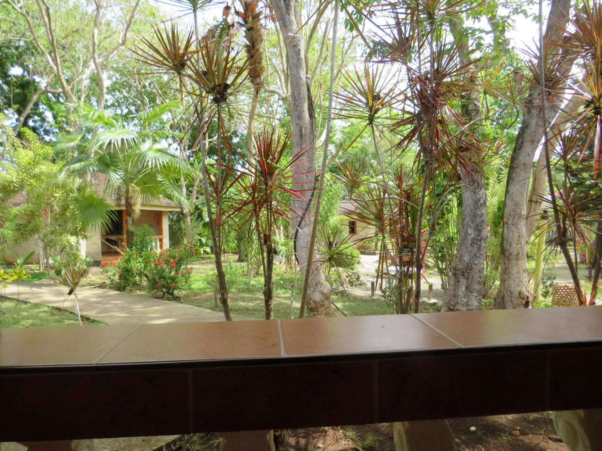 Alonaland Resort Đảo Đảo Panglao Ngoại thất bức ảnh